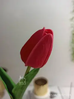 گل لاله فومی رنگبندی🌈