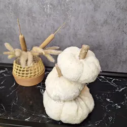 کدو تدی سفید شیری