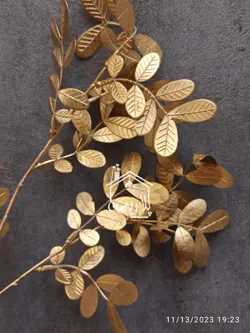 شاخه اکالیپتوس طلایی