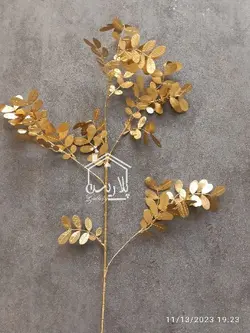 شاخه اکالیپتوس طلایی