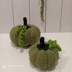 کدو پاییزه بافت سبز سدری