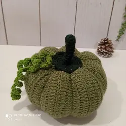 کدو پاییزه بافت سبز سدری