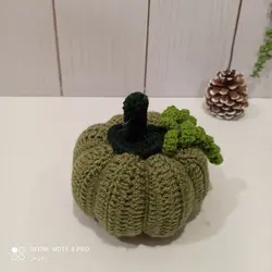 کدو پاییزه بافت سبز سدری