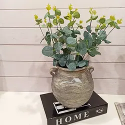 دسته گل اکالیپتوس وارداتی