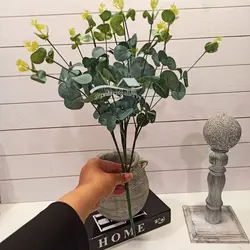 دسته گل اکالیپتوس وارداتی