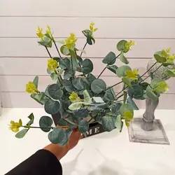 دسته گل اکالیپتوس وارداتی