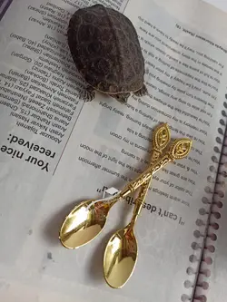 قاشق چایخوری و مربا خوری عثمانی