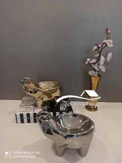 ظروف تنقلات فیل