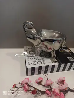 ظروف تنقلات فیل