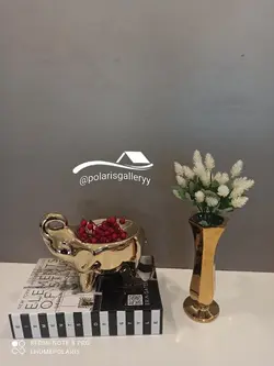 ظروف تنقلات فیل