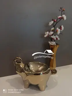 ظروف تنقلات فیل