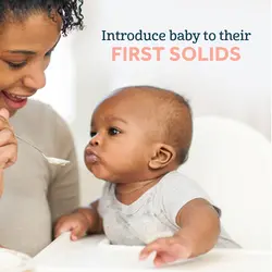 سرلاک گربر Gerber میکس غلات جو دو سر حجم 227 گرم - شوک کالا