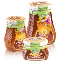 عسل گشنیز میرنجمی - 500 و 900 گرم