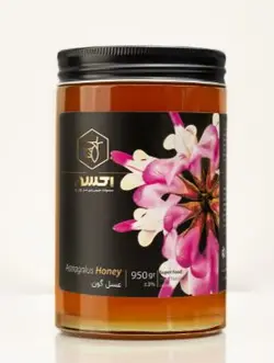 عسل گون اکسیر - 950 گرم