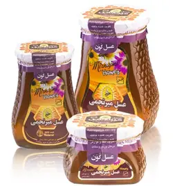 عسل گون میرنجمی - 500 و 900 گرم