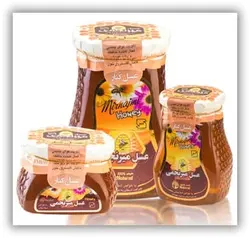 عسل کنار میرنجمی - 500 و 900 گرم