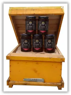 عسل کنار پارس کوئین 490 و 950 گرم