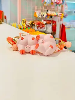 جاکلیدی سیلیکونی خوک نیو