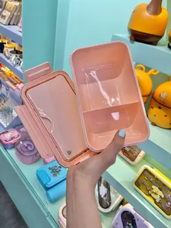 ظرف غذای ملودی و اکسسوری فانتزی