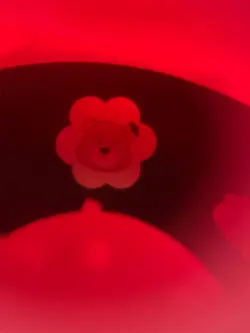 جاکلیدی دوربین عکاسی انیمالز کیوت