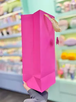 بگ مستطیلی باریک کیوت