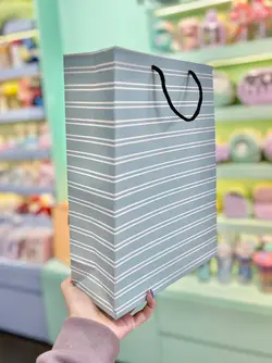 بگ راه راه کیوت پاستلی