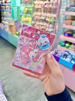 پک دوتایی محافظ کلید اردک کیوت