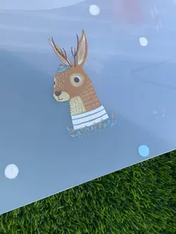 پوشه دکمه دار کیوت