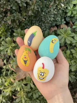 فیجت تخم مرغ