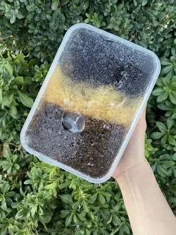 اسلایم گلکسی قهوه ای