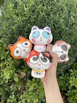 اسکوییشی گربه
