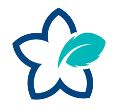 باکس چوبی - تشک پلاس باف