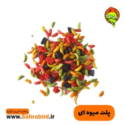 پلت میوه ای