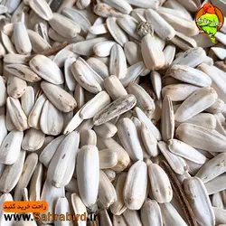 تخم افتابگردان سفید(بسته یک کیلوگرمی)