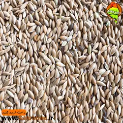 تخم کتان(بسته یک کیلوگرمی)
