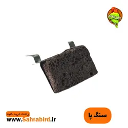 سنگ پا