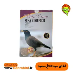 غذای مینا کلاغ سفید