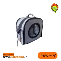 کیف حمل کوچک