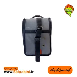 کیف حمل کوچک