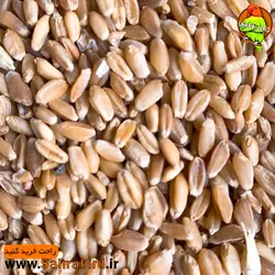 گندم(بسته یک کیلوگرمی)