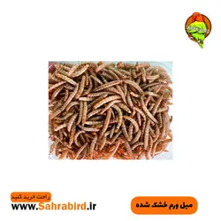 میل ورم خشک شده