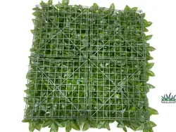 دیوار سبز مصنوعی مدل پرتقالی