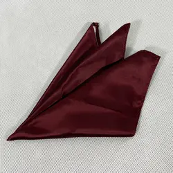 کراوات ساده بادمجانی4