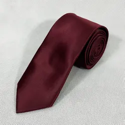 کراوات ساده بادمجانی4