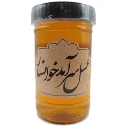 عسل طبیعی چند گیاه سرآمد - 900 گرم