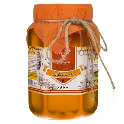 عسل گون شیگوار - 1 کیلوگرم