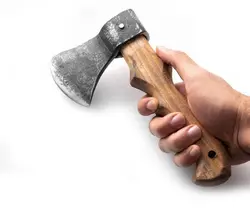 تبر کمپینگ 20 سانتی - ابزار پالادیوم