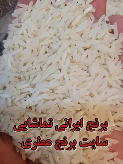 برنج ایرانی تماشایی شیرودی تضمین اصل، بدون قاطی، عالی 10 کیلویی