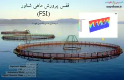 قفس پرورش ماهی شناور (FSI)، شبیه سازی عددی با انسیس فلوئنت