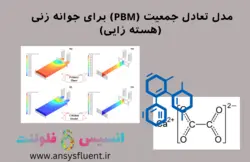 مدل تعادل جمعیت (PBM) برای جوانه زنی (هسته زایی)، شبیه سازی با انسیس فلوئنت - انسیس فلوئنت